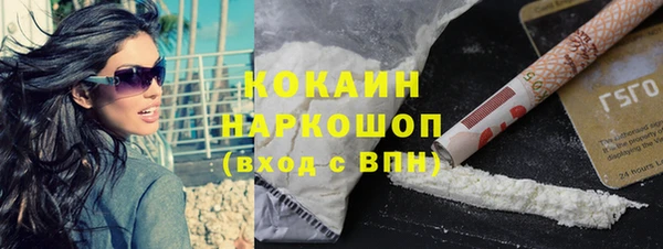 винт Бородино