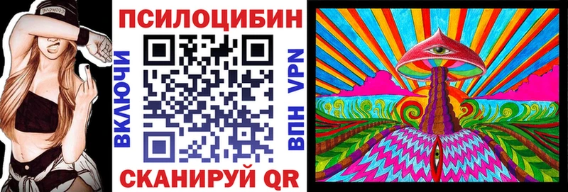 Псилоцибиновые грибы мицелий  Купить закладки  Корсаков 