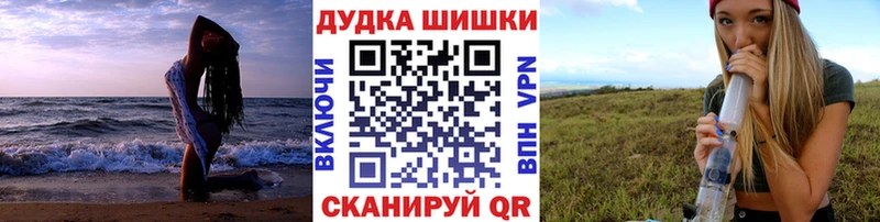 Бошки Шишки план Корсаков